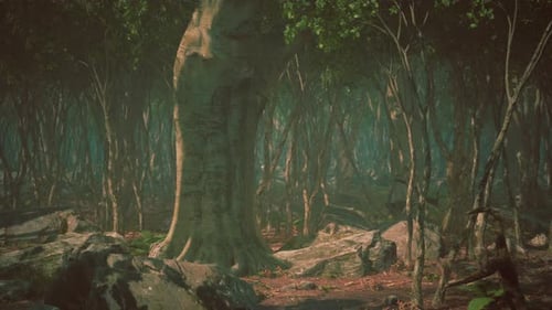 Roots of a Tree in a Misty Forest