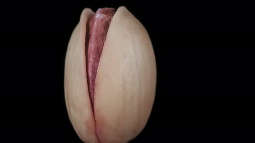 Close-up of a Whole Pistachio on Black