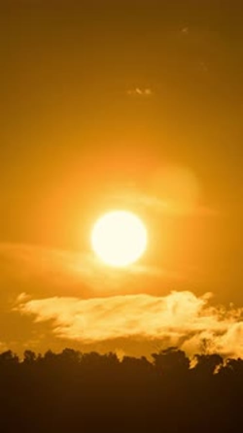 Beautiful Sunrise Time-Lapse Over Silhouette of Trees