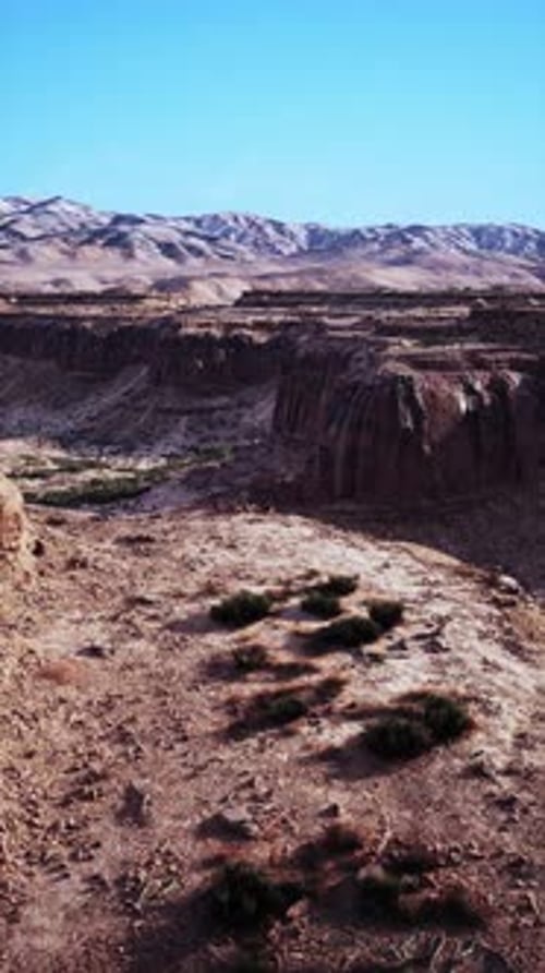 Desert Landscape With Background Mountains