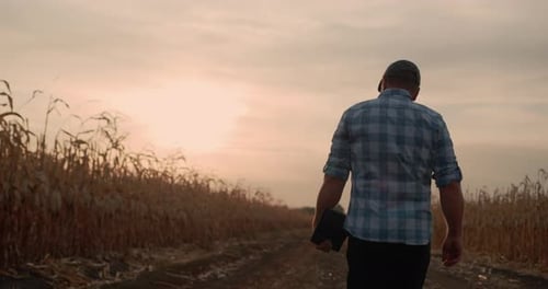 A Male Farmer Walks Along the Road Along the Fields of Corn in His Hand Carries a Tablet