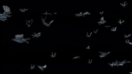 Abstract Textured Crows Flying on Black Background