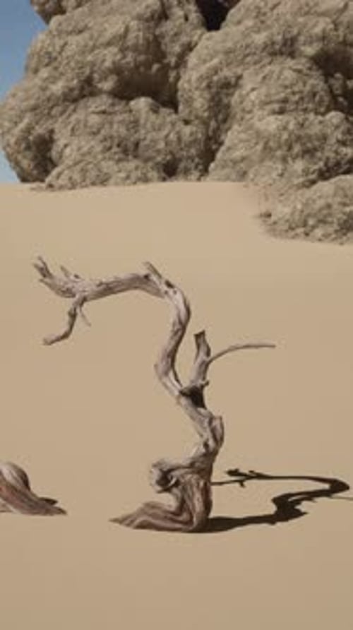A Dead Tree in the Middle of a Desert