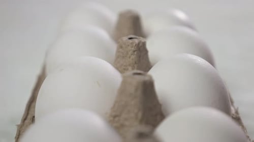 Close Up of White Eggs in Carton