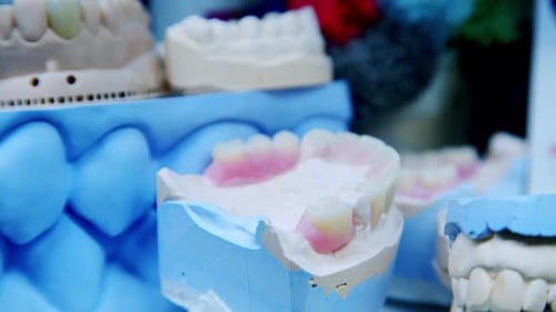 roduced stomatology teeth models for dentistry clinic. Manufacturing stomatology fake teeth models.