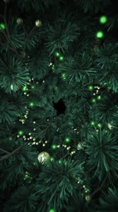 Christmas Tunnel 02