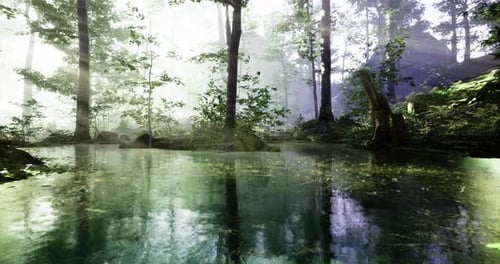 Serene Forest with Mist and Calm Water Reflecting Trees at Dawn