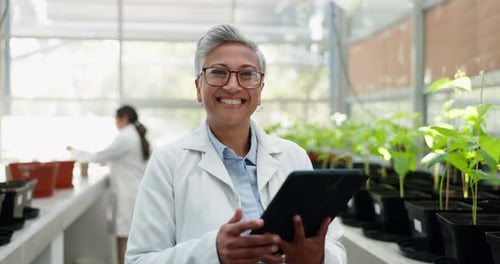Tablet, portrait and sustainability with an old woman in a greenhouse to study plant growth