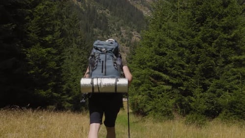 Unrecognizable Traveler with Backpack Trekking Stick Walking in Forest in Daylight