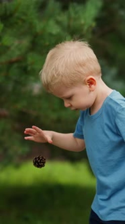 Inquisitive Toddler Boy Throws Down Pine Cone in Hotel Yard