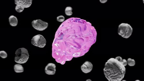 Human Brain Morphing Animation with Color Change