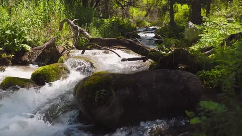 Mountain River Runs at Morning in Slow Motion
