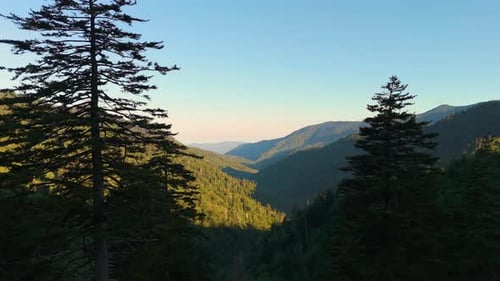 Nature Landscape of Tennessee Appalachian Mountains Mountain Forest with Green Canopies in Summer