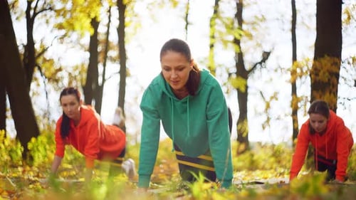 In the Park a Group of Women are Energetically Exercising with Fitness Bands