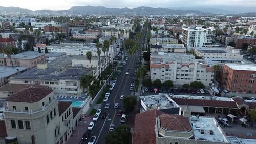 Push in drone shot of dense city neighborhood in Los Angeles. Traveling cars below, palm trees swayi