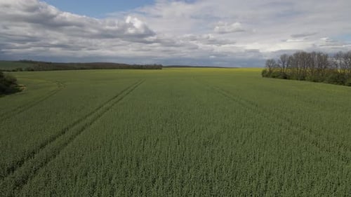 A vast agricultural landscape captured by drone, showcasing green crops extending to the horizon und
