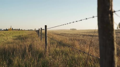 Barbed Wire Fence In The Farm. - wide shot