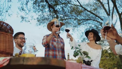 Friends Toasting Wine at an Outdoor Picnic Table