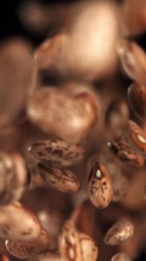White Beans Fly Up and Fall Down Filmed on a Highspeed Camera at 1000 Fps
