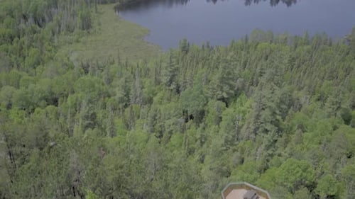 ontario canada wilderness forest nature lake summer observation