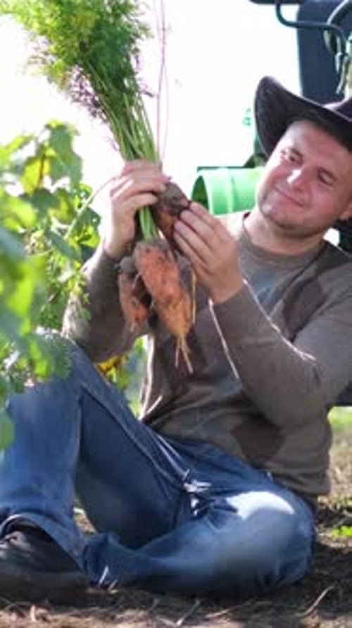 A Joyful Man Harvests Fresh Vegetables in a Field Showcasing Sustainable Farming for the Earth and