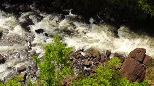 Mountain River Stream in Sunny Summer Day