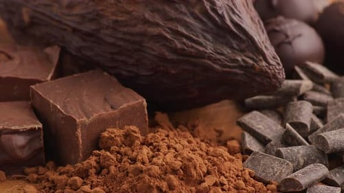 Deliciosa composição de chocolate com cacau em pó e cascas de cacau frescas