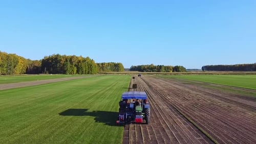 Turf Grass Harvested by Tractor, Aerial View