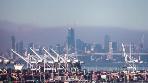 Cranes in the San Francisco Bay loading and unloading cargo ships with the skyline in the foggy back