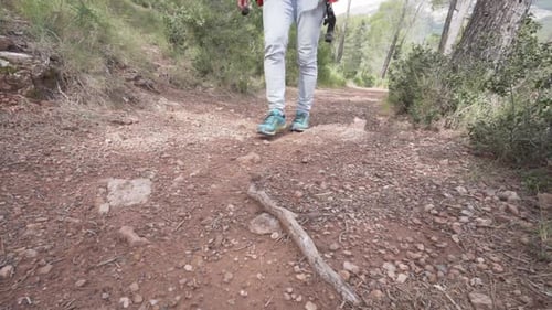 Hiker with backpack is walking along a forest path