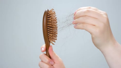 Female hand holding a comb with lost hair on gray background close-up.
