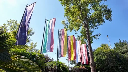 Country flags blowing on sunny day in city park