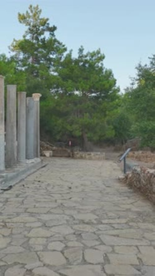 Vidéo verticale L'ancienne ville de Syedra à Alanya offre une escapade pittoresque avec ses ruines historiques et