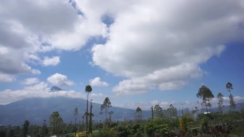 beautiful natural landscape mountains hilly nature panorama, with forest of tall green trees