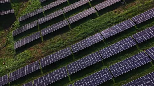 Solar panel array in a field capturing sunlight for energy production