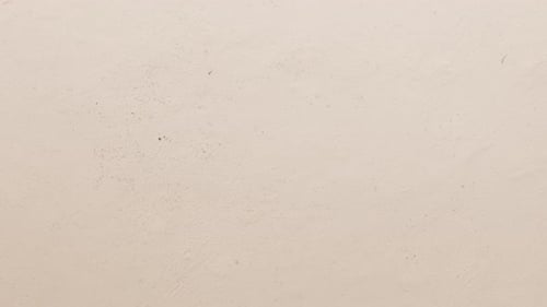 Animated Torn Paper Transition with Modern Text Reveals