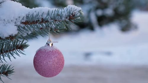 Red New Year Ball on Snowy Pine Tree Branch with Snow Christmas Decoration Outdoors