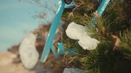 On Tree Plastic Bag Hanging on Green in Forest Pollution Ecosystem Problem Sweepings Dump Water Bag