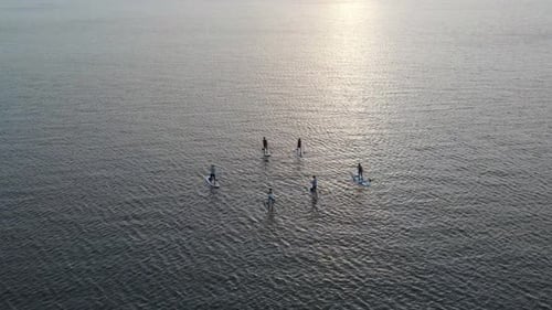 Aerial View Of Tourists Rowing Stand Up Paddle Boarding On Peaceful Ocean. Drone Orbit