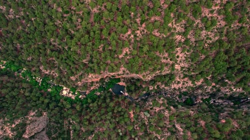 Forest River Stream Flowing Among Canyon