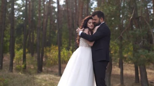 Beautiful wedding couple standing in forest. Lovely newlyweds hugging and kissing on nature