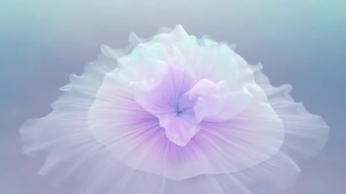 Watercolor Flower Explosion