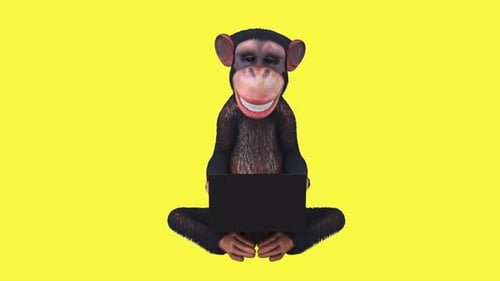 Fun 3D cartoon monkey character with a laptop (with alpha channel)