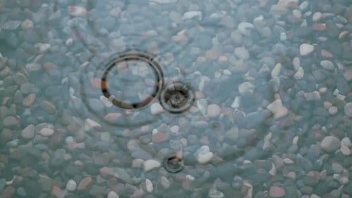 Autumn Drizzling Rain Over A Puddle