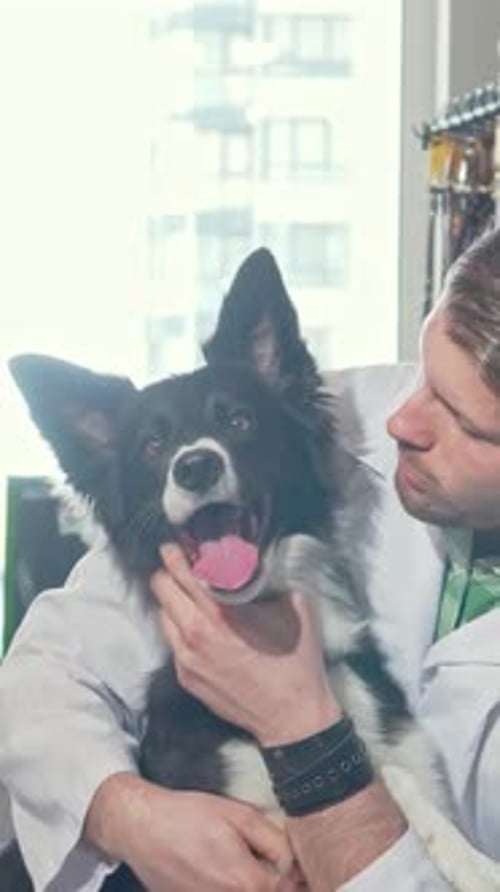 Un vétérinaire masculin joyeux embrasse joyeusement un chien joueur dans une clinique lumineuse
