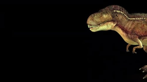3D Animated Tyrannosaurus Rex Roaring and Walking Cycle