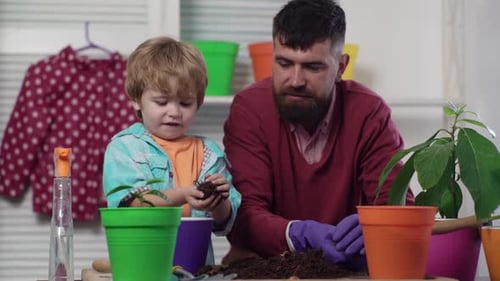 Father and Son Planting Father and Son Potted Plant Father and Son Grows Flowers Together Hobby Home