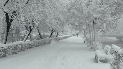 Slow motion heavy snowfall along snowy park walkway in winter