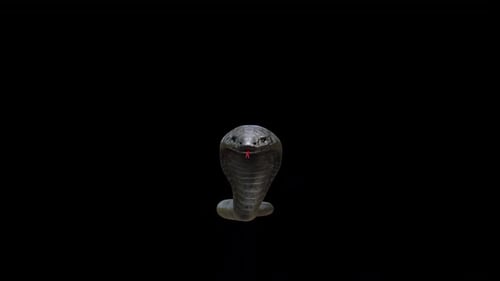 Serpent Cobra