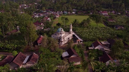 Aerial view of village with mosque and palm trees, Indonesia.
